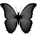 eebtf_black