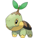 turtwig turtwig