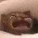 _waaa Discord emoji