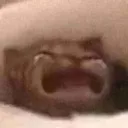 _waaa _waaa