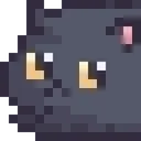 El_Gato_1