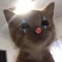 catclown catclown