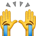 2011raisedsobbinghands Discord Emoji