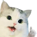 happycatok Discord emoji
