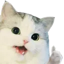 Happycatok Discord Emoji