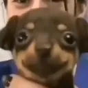 Perrete