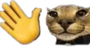 Floppawave Floppawave