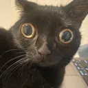 stare2