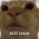 skillissue