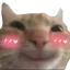 happycat