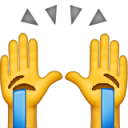 2011raisedsobbinghands Discord emoji