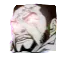 fujiwoke