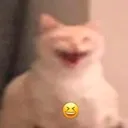 xd