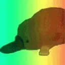 rainbow_platypus