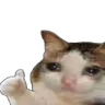 catcryok Discord Emoji