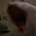 AAAAAA