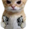 gato