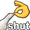 shut