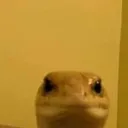 703_faroserio
