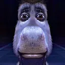 donkey