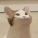 Happy Cat happy_cat Discord Emoji