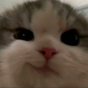 20220902_201552 Discord emoji