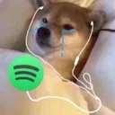 rnx_Spotify_And_Cry