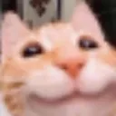 83