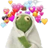 kermitlove