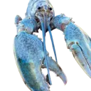 Blue Lobster Discord Emoji