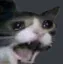 catscream Discord Emoji