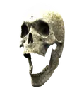 Skullpog Discord Emoji