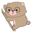babybrown