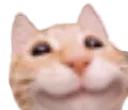 aahappykitty