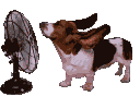 emoji_244 Discord emoji