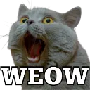 WeOw WeOw