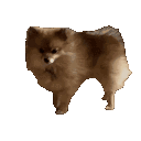 emoji_315 Discord emoji