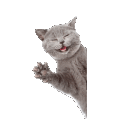 emoji_317 Discord emoji