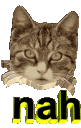 emoji_322 Discord emoji
