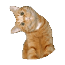 emoji_323 Discord emoji