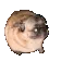 pugdance