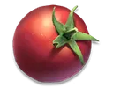 tomato