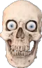 skull1
