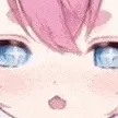 chibiDUD