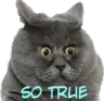 SOTRUEnotscuffley