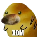 xdm