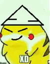 xdrice
