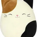 Hicat hicat Discord Emoji