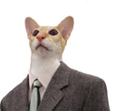 Cat1 Discord emoji