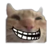 trollcat trollcat